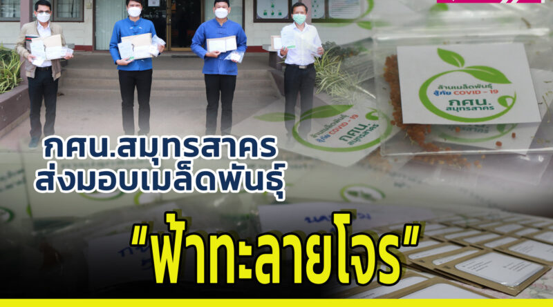 ล้านเมล็ดพันสู้ภัยโควิด